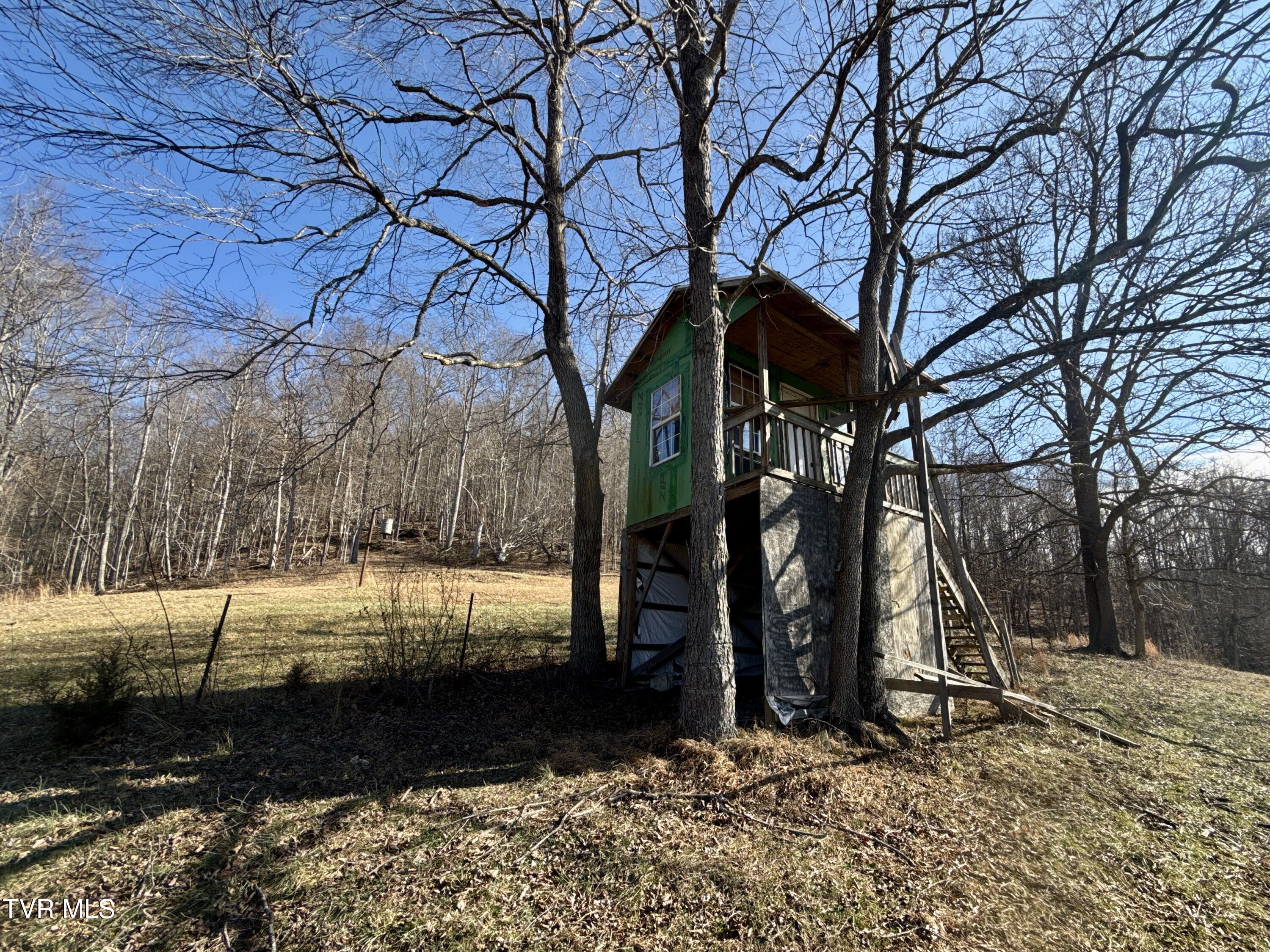 219 Ridge Road Eidson, TN 37731 - Photo 51 of 72 _Pic41 (18)