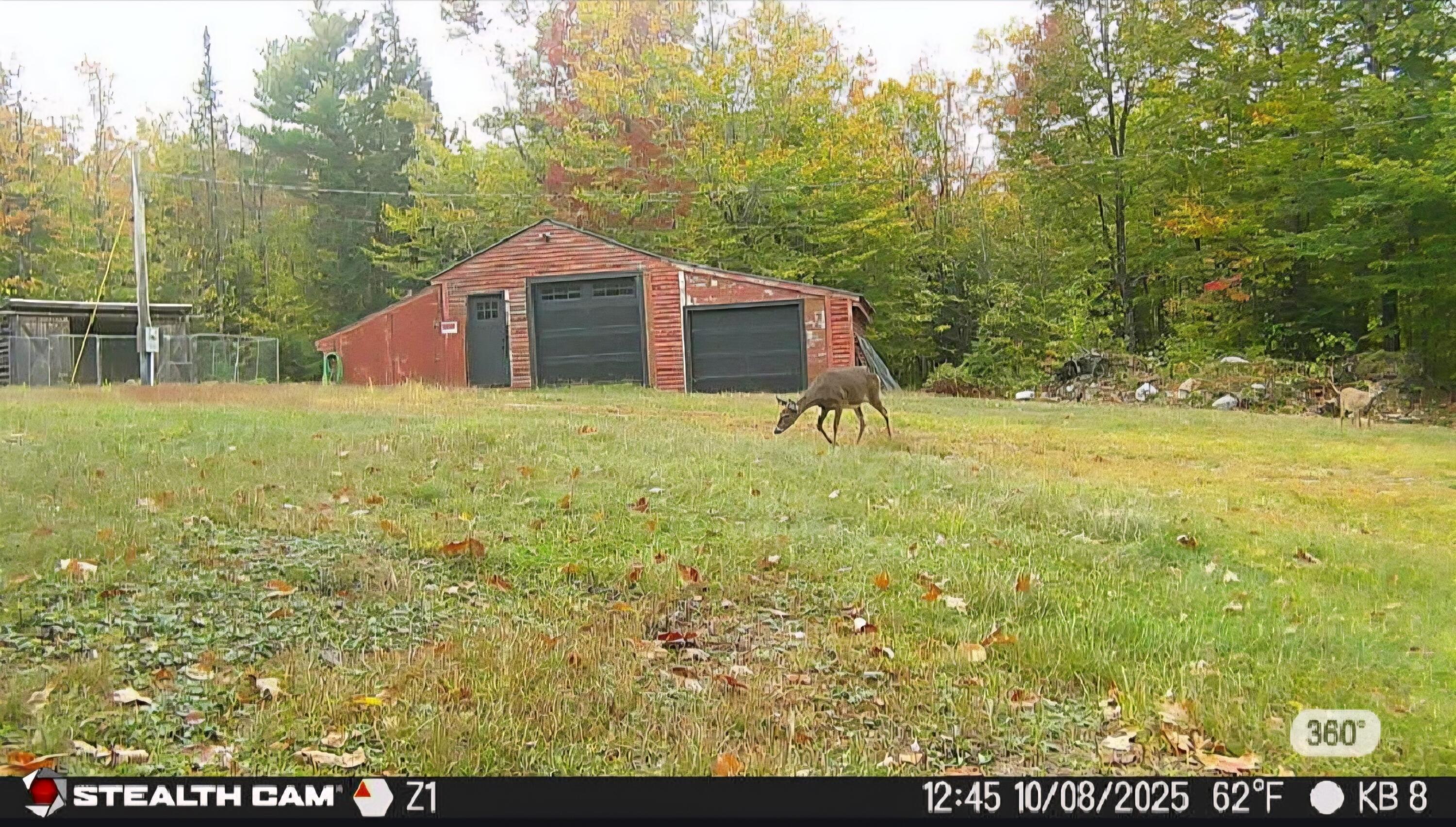 20 Kittridge Brook Road West Paris, ME 04289 - Photo 15 of 17