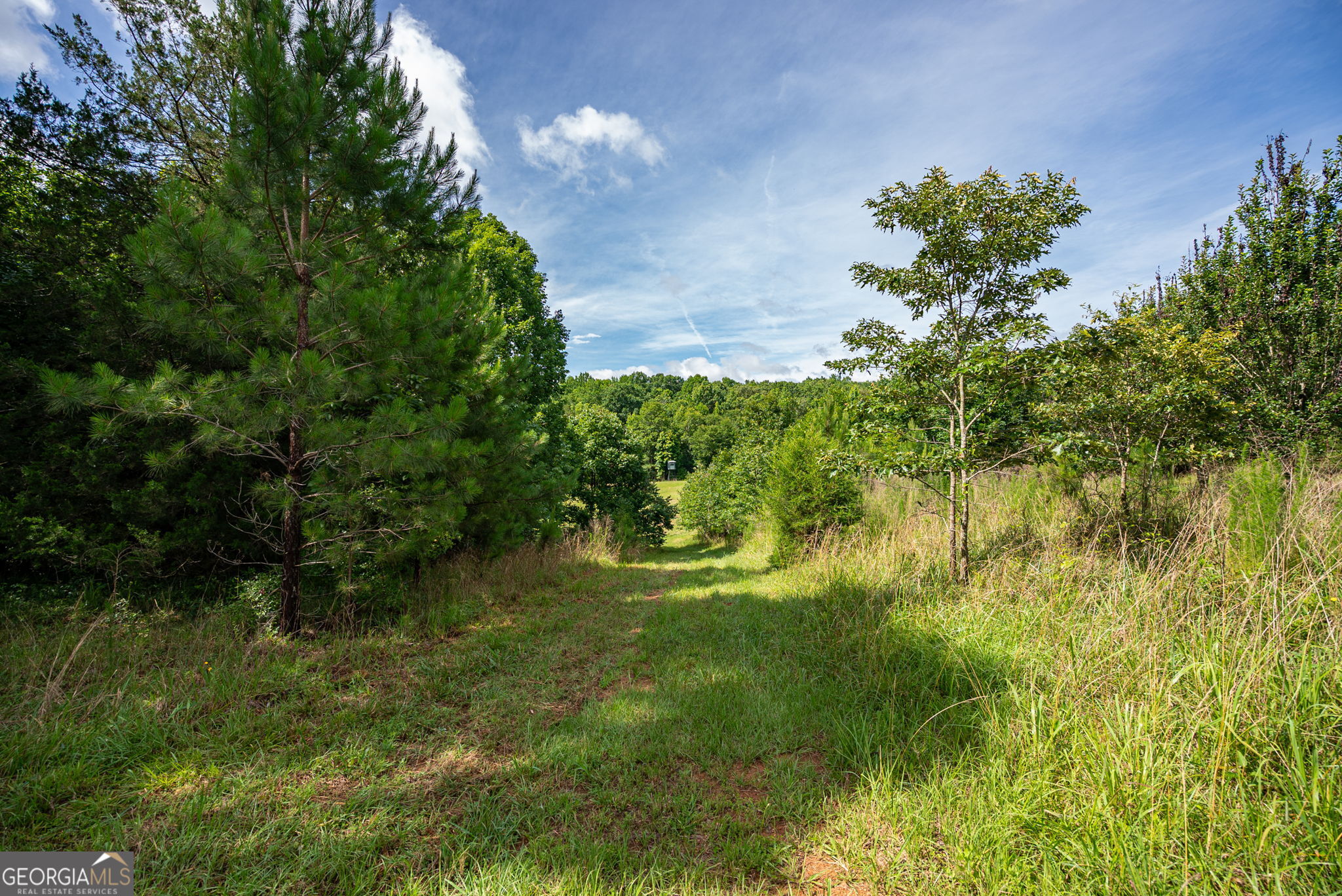 2286 Duffell Martin Road Comer, GA 30629 - Photo 20 of 81