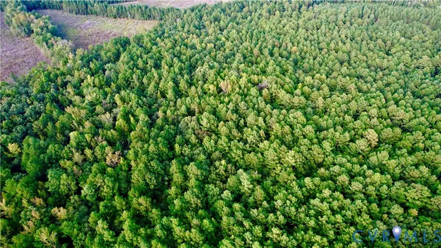 $175,000 | 0 Governor Harrison Parkway, Freeman, VA 23856