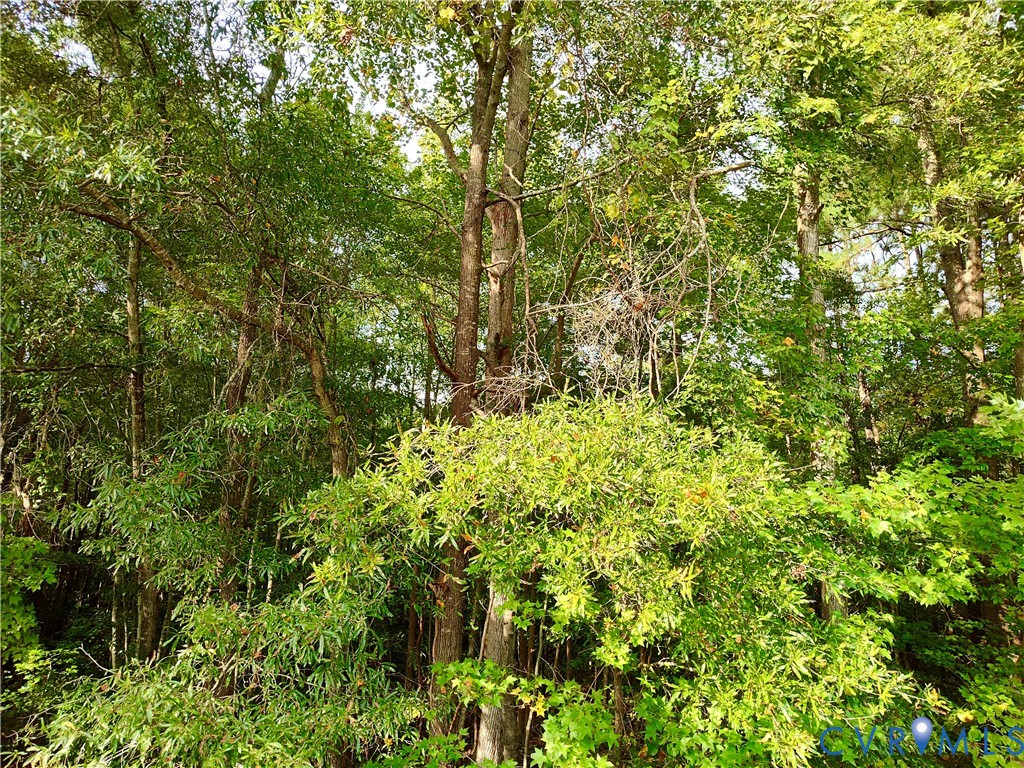 0 Governor Harrison Parkway Freeman, VA 23856 - Photo 13 of 41