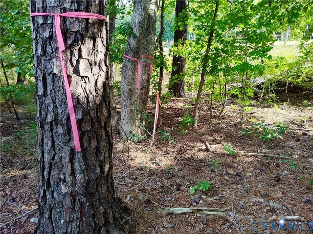 $175,000 | 0 Governor Harrison Parkway, Freeman, VA 23856