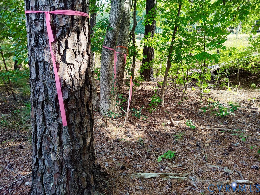 0 Governor Harrison Parkway Freeman, VA 23856 - Photo 14 of 41