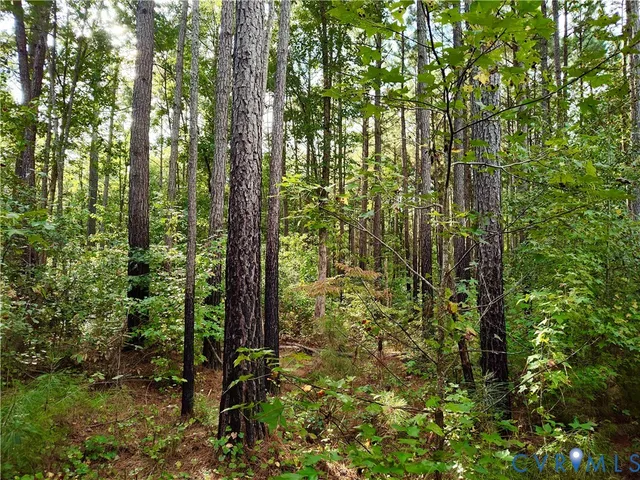 $175,000 | 0 Governor Harrison Parkway, Freeman, VA 23856