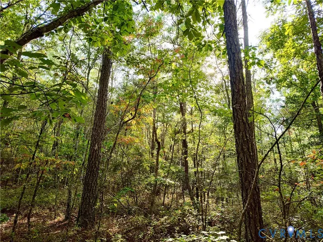 $175,000 | 0 Governor Harrison Parkway, Freeman, VA 23856