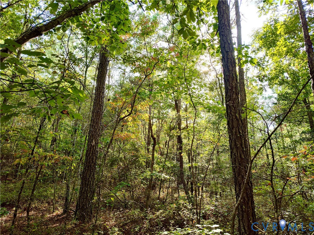 0 Governor Harrison Parkway Freeman, VA 23856 - Photo 17 of 41