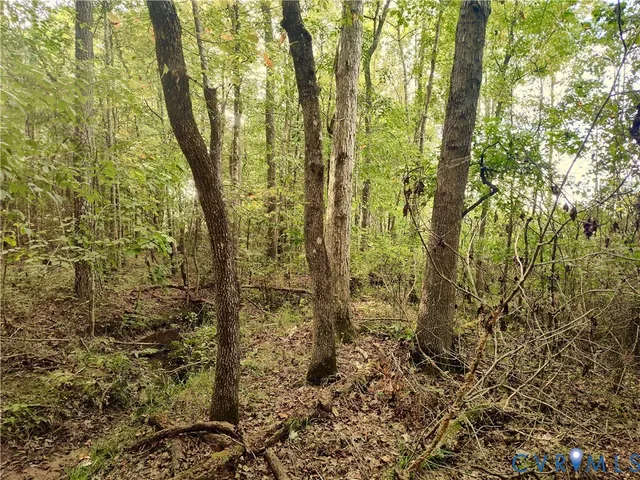 $175,000 | 0 Governor Harrison Parkway, Freeman, VA 23856