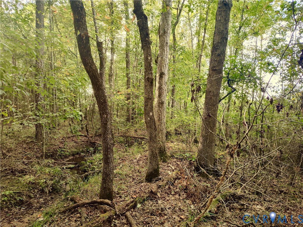 0 Governor Harrison Parkway Freeman, VA 23856 - Photo 18 of 41