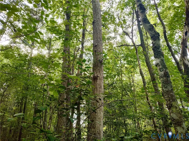 $175,000 | 0 Governor Harrison Parkway, Freeman, VA 23856