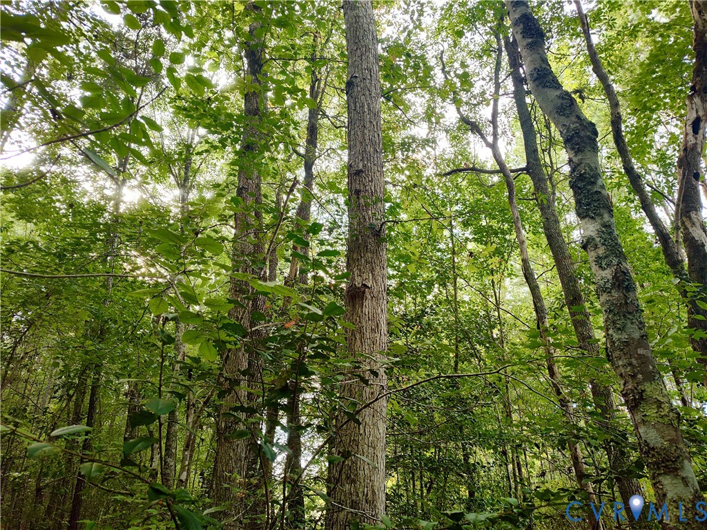 0 Governor Harrison Parkway Freeman, VA 23856 - Photo 19 of 41