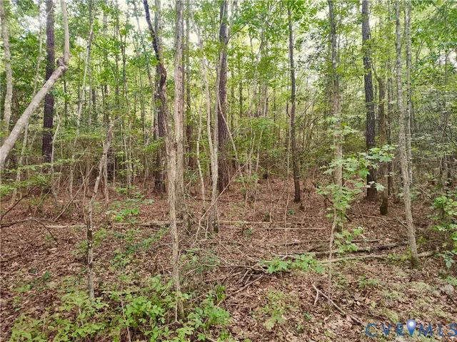 $175,000 | 0 Governor Harrison Parkway, Freeman, VA 23856