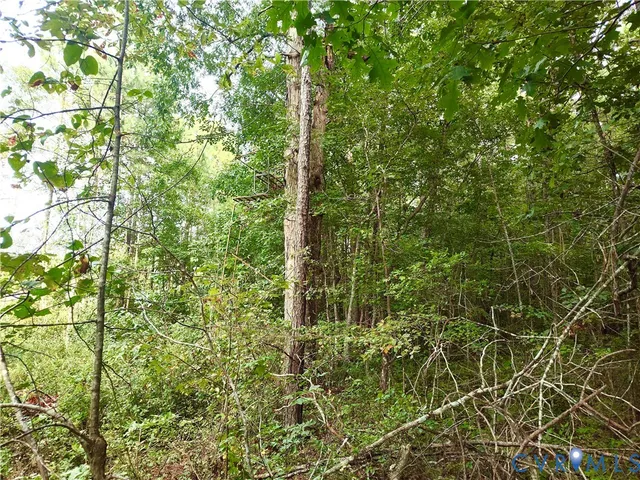 $175,000 | 0 Governor Harrison Parkway, Freeman, VA 23856