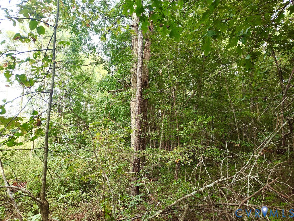 0 Governor Harrison Parkway Freeman, VA 23856 - Photo 21 of 41