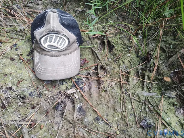 $175,000 | 0 Governor Harrison Parkway, Freeman, VA 23856