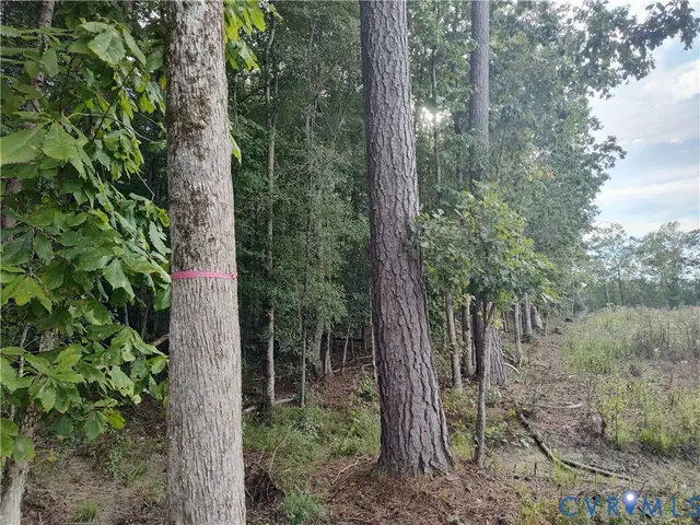 $175,000 | 0 Governor Harrison Parkway, Freeman, VA 23856