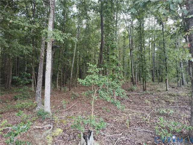 $175,000 | 0 Governor Harrison Parkway, Freeman, VA 23856