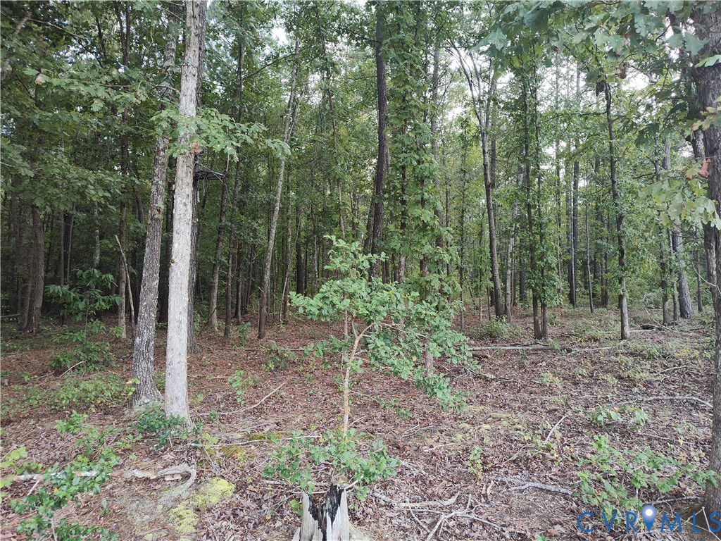 0 Governor Harrison Parkway Freeman, VA 23856 - Photo 24 of 41