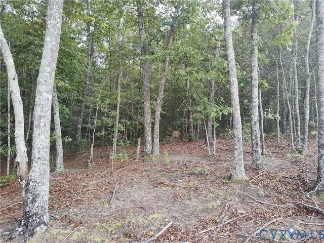 $175,000 | 0 Governor Harrison Parkway, Freeman, VA 23856