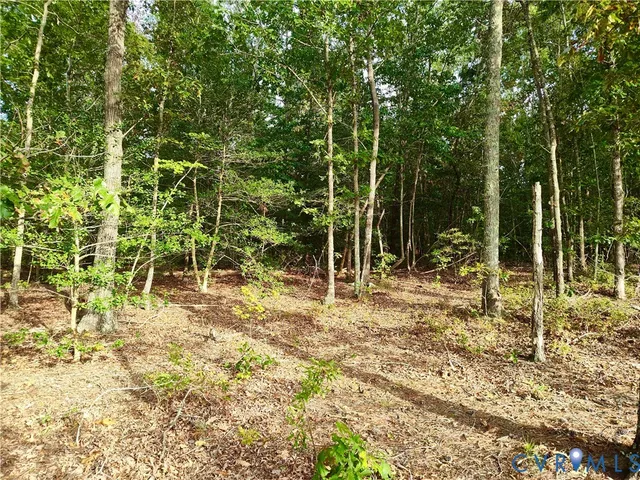 $175,000 | 0 Governor Harrison Parkway, Freeman, VA 23856