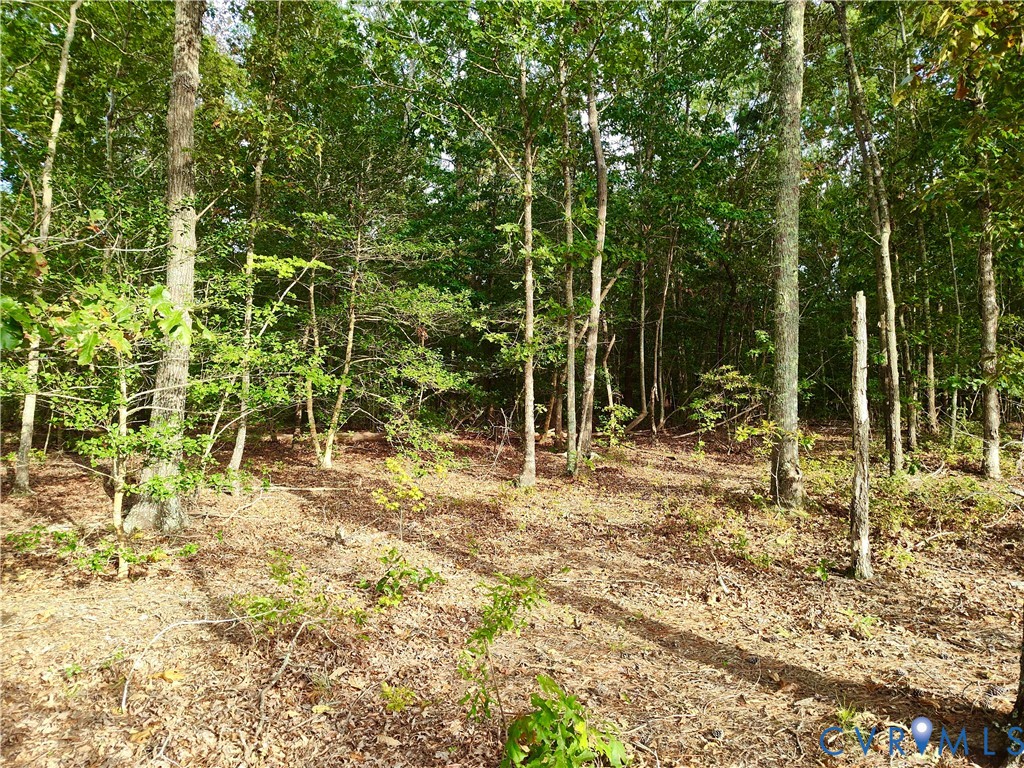 0 Governor Harrison Parkway Freeman, VA 23856 - Photo 26 of 41