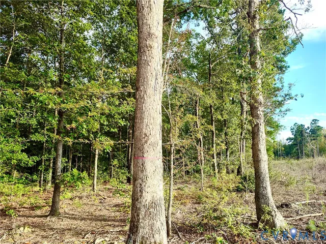 $175,000 | 0 Governor Harrison Parkway, Freeman, VA 23856