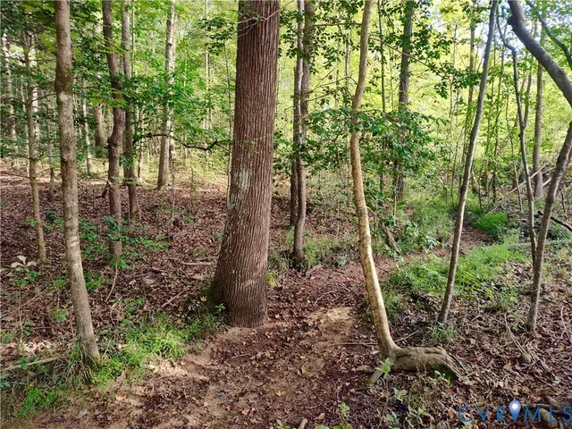 $175,000 | 0 Governor Harrison Parkway, Freeman, VA 23856