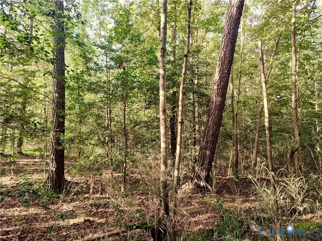 $175,000 | 0 Governor Harrison Parkway, Freeman, VA 23856