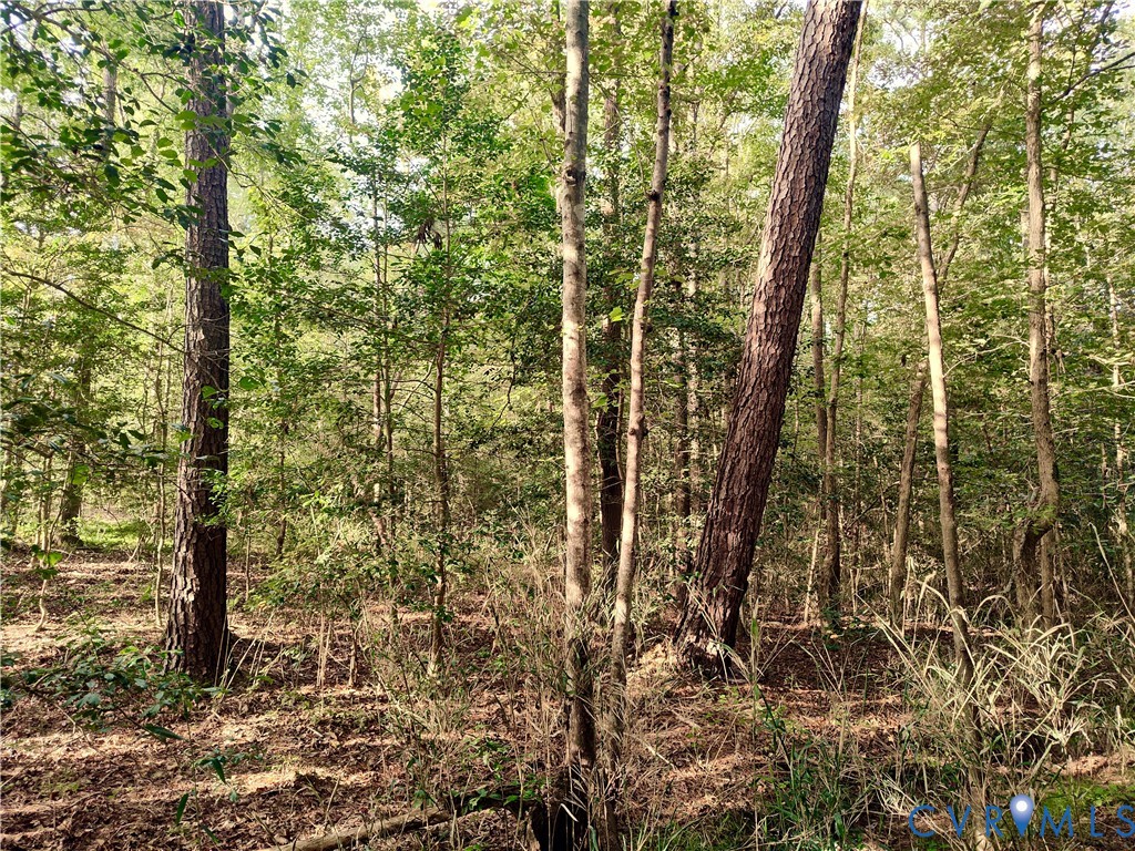 0 Governor Harrison Parkway Freeman, VA 23856 - Photo 29 of 41