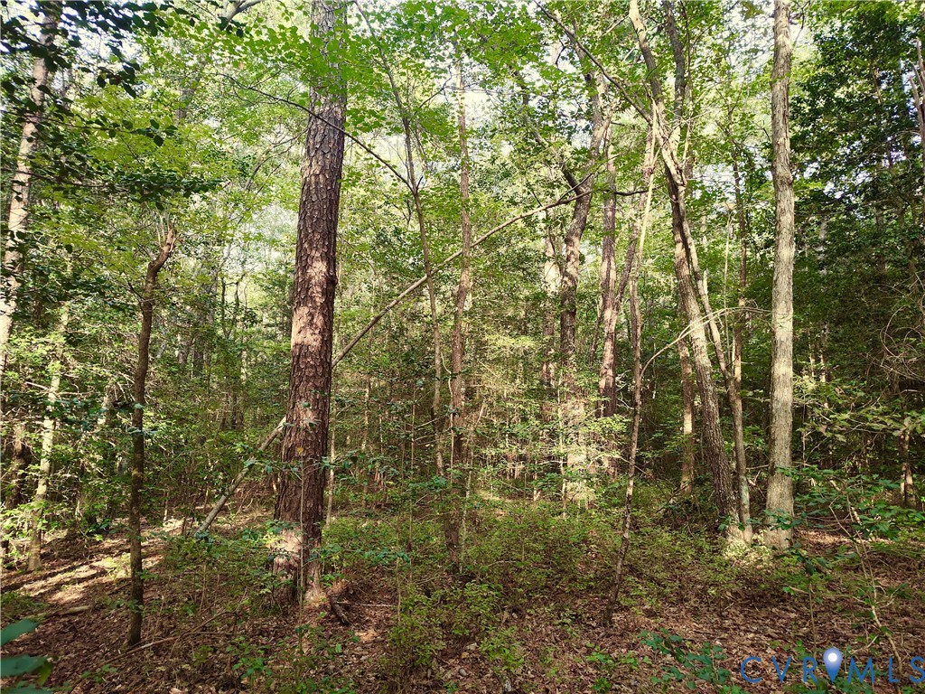 0 Governor Harrison Parkway Freeman, VA 23856 - Photo 30 of 41