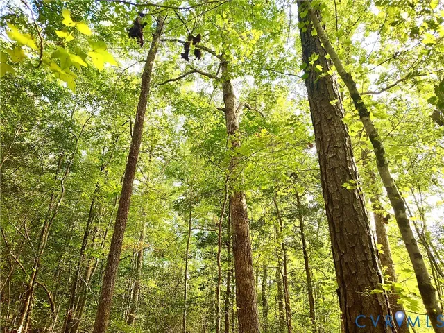 $175,000 | 0 Governor Harrison Parkway, Freeman, VA 23856