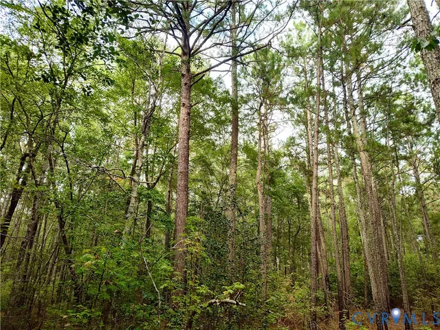 $175,000 | 0 Governor Harrison Parkway, Freeman, VA 23856