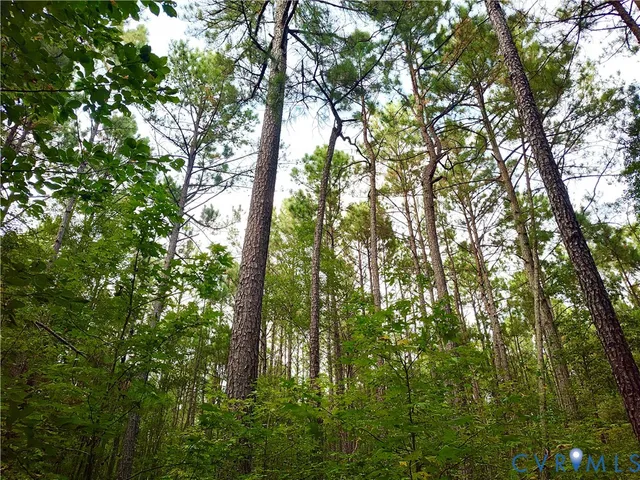 $175,000 | 0 Governor Harrison Parkway, Freeman, VA 23856