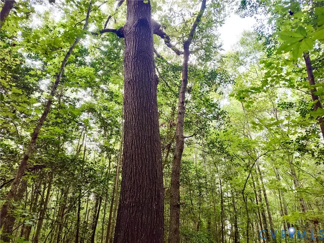 $175,000 | 0 Governor Harrison Parkway, Freeman, VA 23856