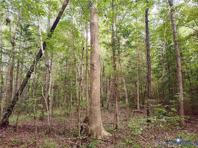 $175,000 | 0 Governor Harrison Parkway, Freeman, VA 23856