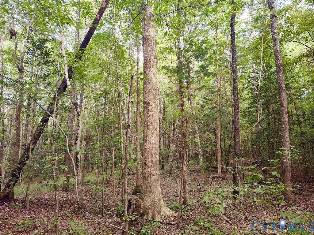 0 Governor Harrison Parkway Freeman, VA 23856 - Photo 35 of 41