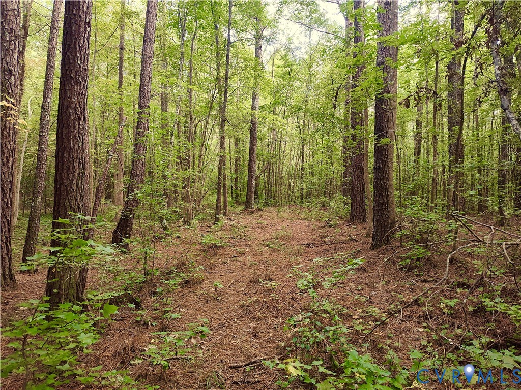 0 Governor Harrison Parkway Freeman, VA 23856 - Photo 36 of 41