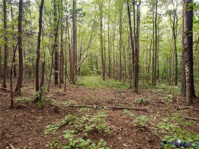 $175,000 | 0 Governor Harrison Parkway, Freeman, VA 23856