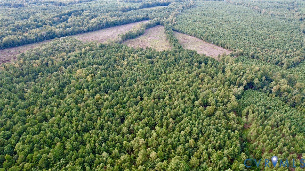 0 Governor Harrison Parkway Freeman, VA 23856 - Photo 5 of 41