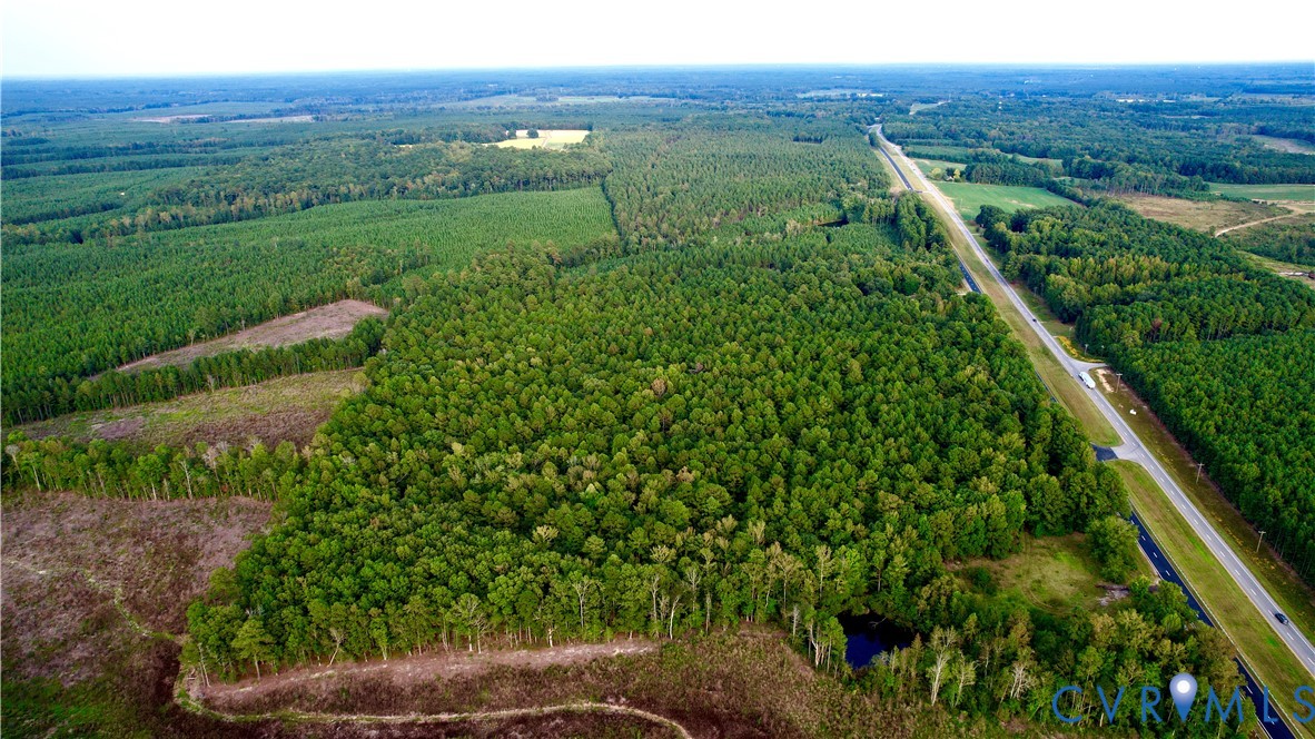 0 Governor Harrison Parkway Freeman, VA 23856 - Photo 8 of 41