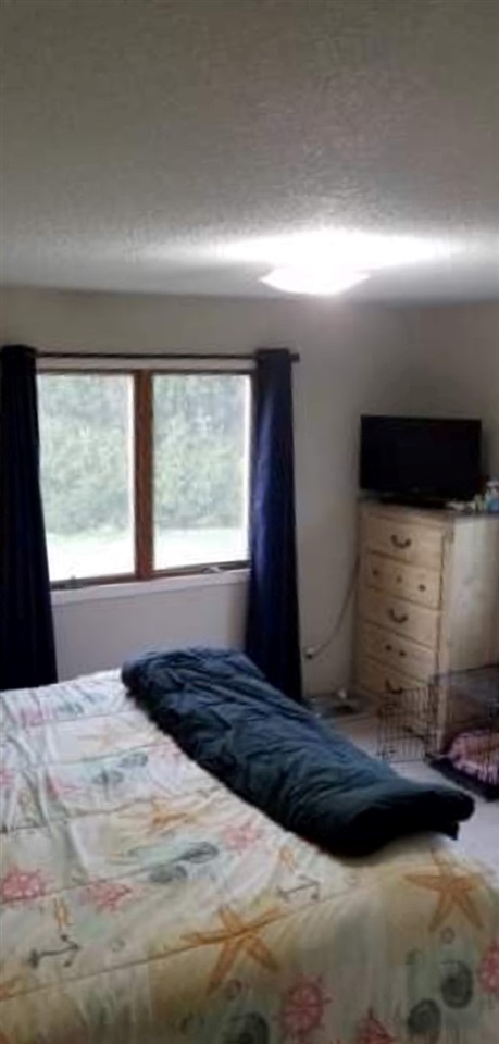 303 South Olson Road Sumner, MI 48889 - Photo 16 of 24 1859208-15.JPG