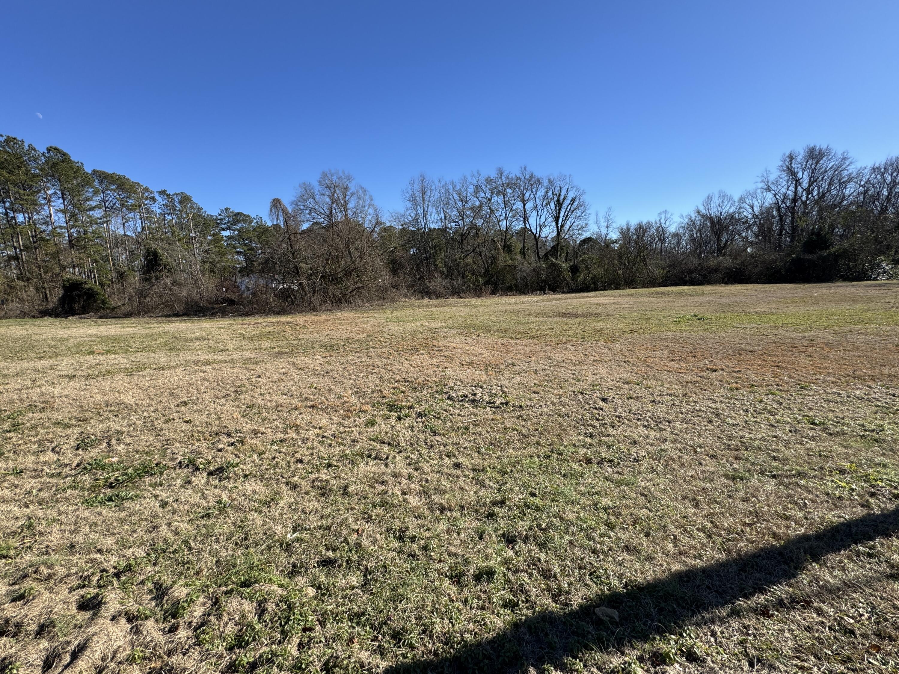 0 Lee Street Johnston, SC 29832 - Photo 3 of 7 IMG_3383