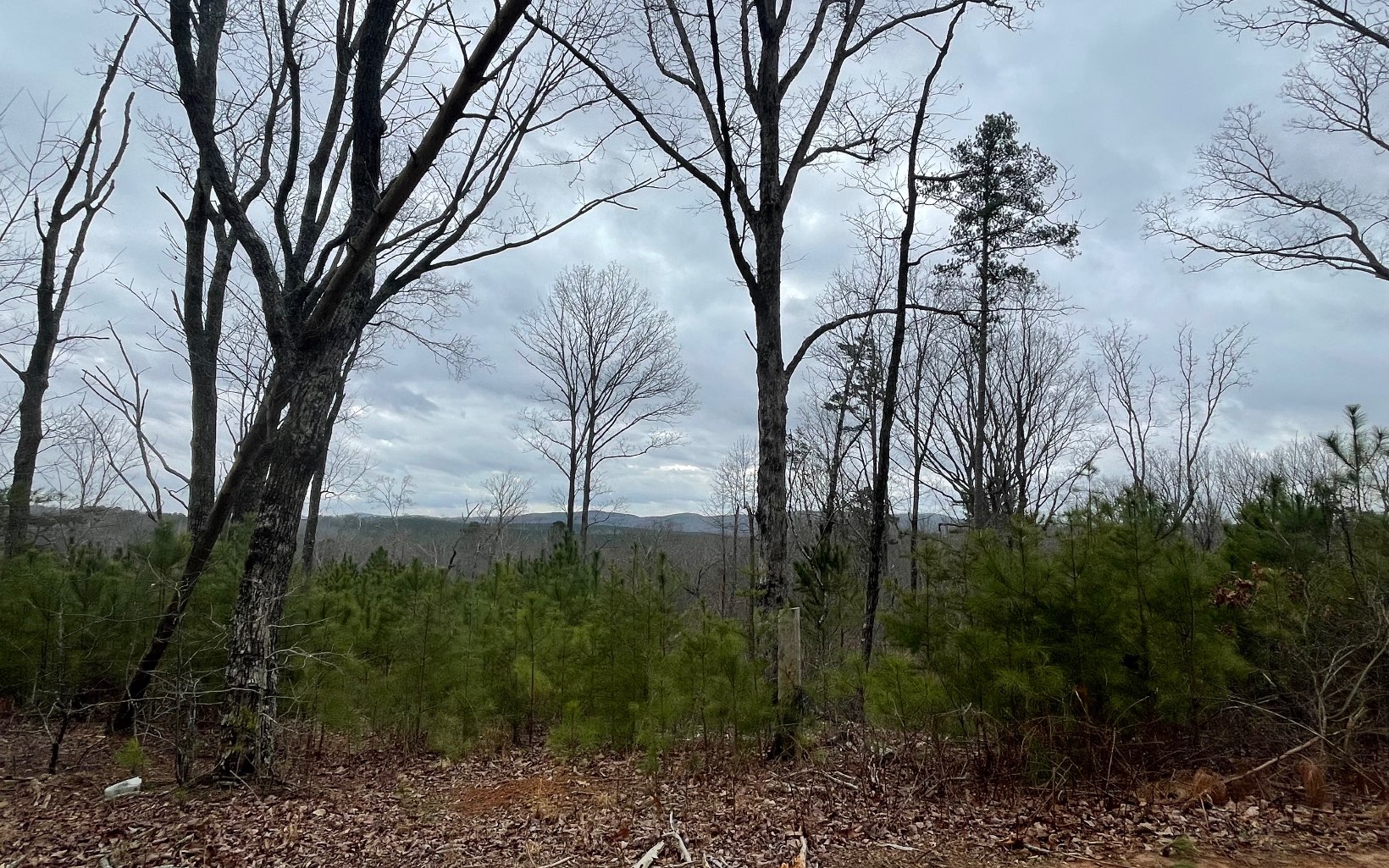 709 High Knoll Road Jasper, GA 30143 - Photo 17 of 46 Additional View