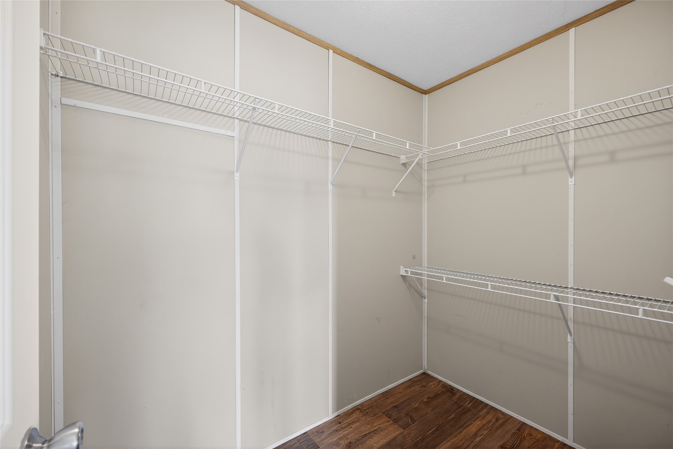 2674 Cotton Gin Road Kyle, TX 78640 - Photo 29 of 30 Walk in closet with dark wood-style floors