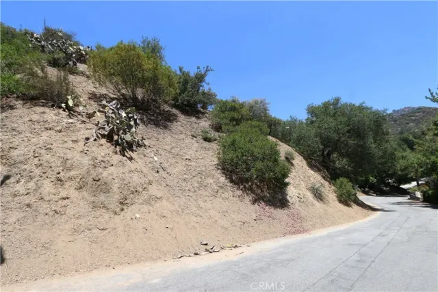 a view of a dry yard with trees in the background