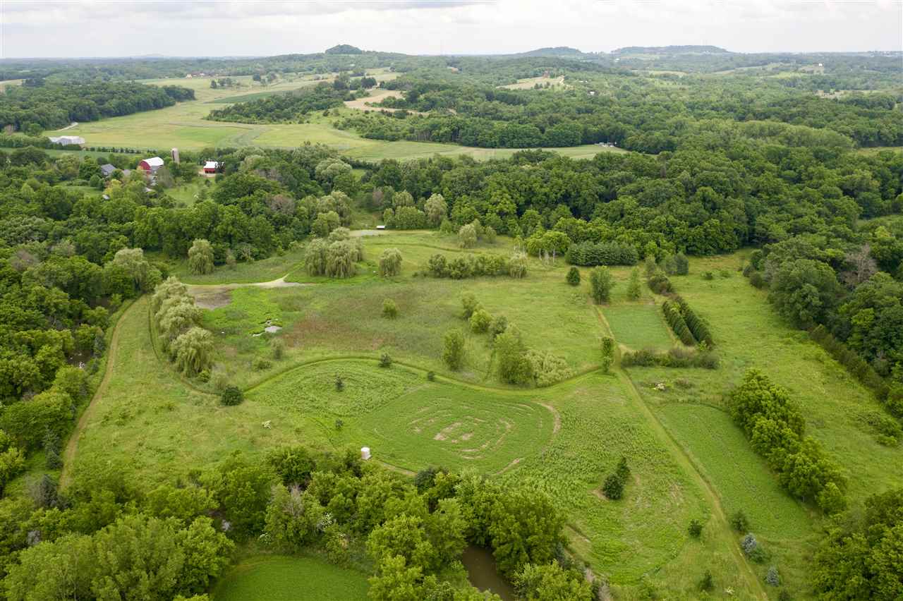 1461 South River Road Galena, IL 61036 - Photo 39 of 40 a view of a lush green forest with trees in the background