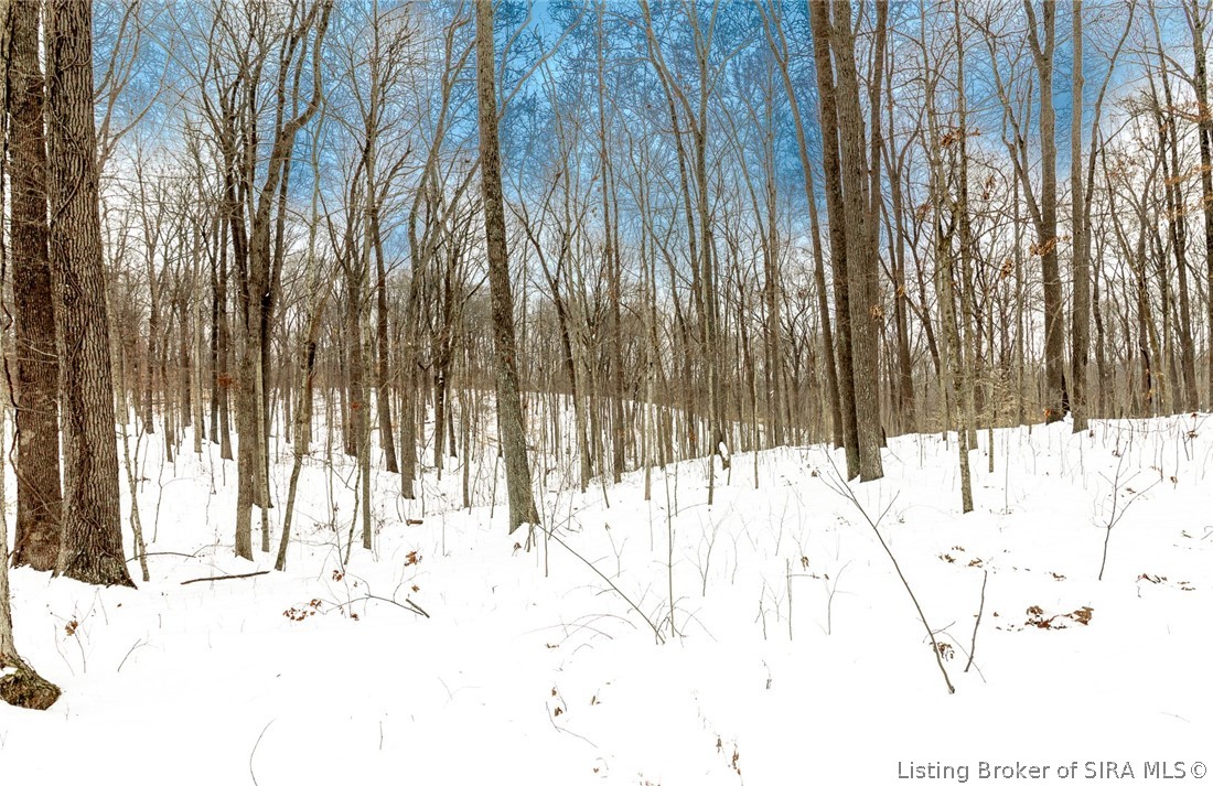 2941 East Bacon Ridge Road Marengo, IN 47140 - Photo 6 of 53