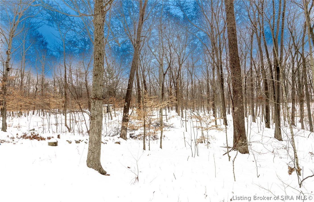 2941 East Bacon Ridge Road Marengo, IN 47140 - Photo 8 of 53