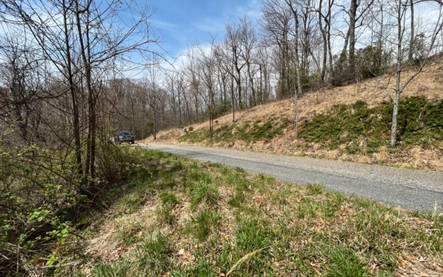 3016 Jump Off Ridge Hiawassee, GA 30546 - Photo 3 of 10 Additional View
