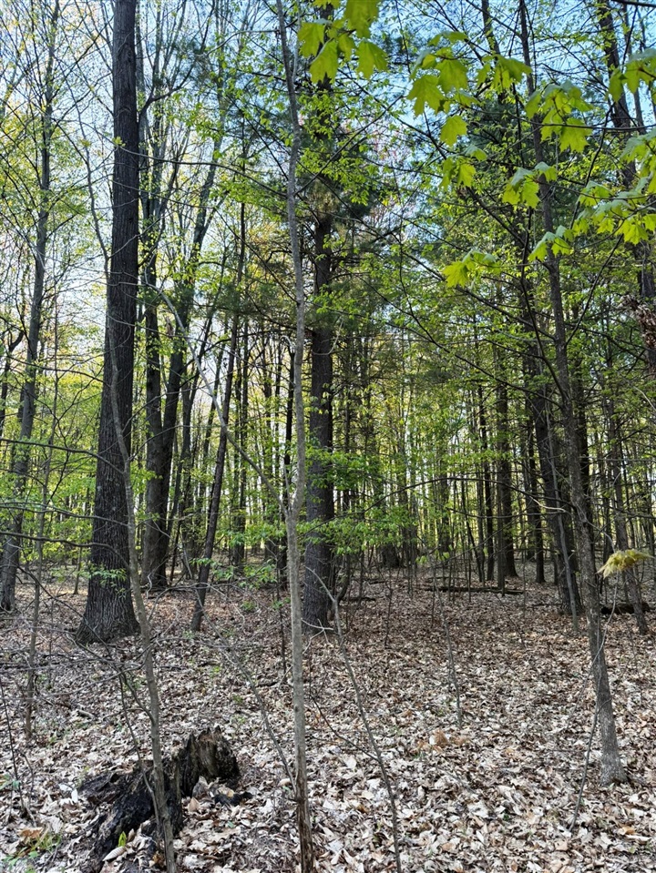 0 West Adams Road Hesperia, MI 49421 - Photo 43 of 74
