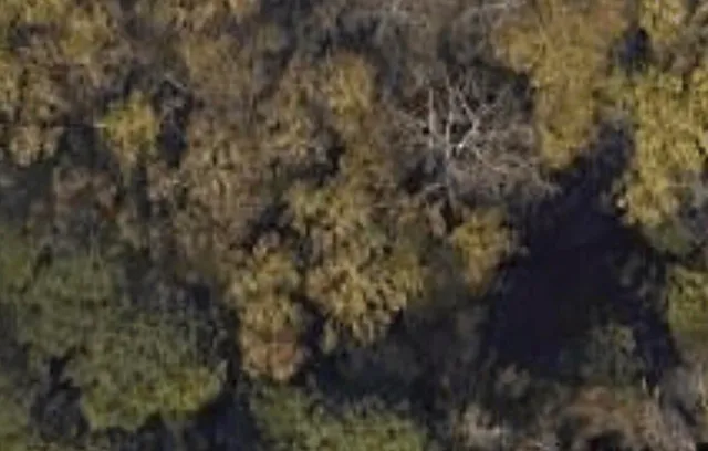 $45,000 | 3927 Mack Road, Augusta, GA 30907